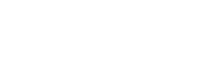 Forest and Bird